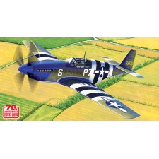   1/48 ()ս 12303 ACADEMY 1/48 USAAF P-51B [Blue Nose]